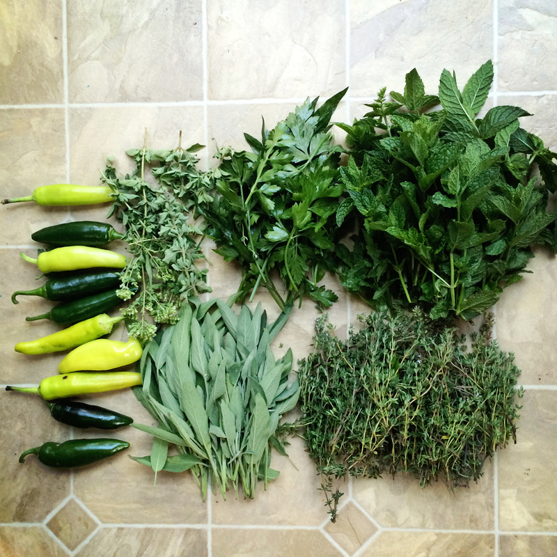 organic CSA share {wholly rooted}