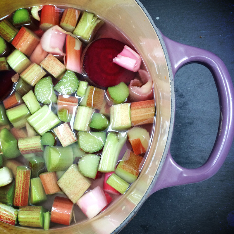 rhubarb syrup in the making  {wholly rooted}