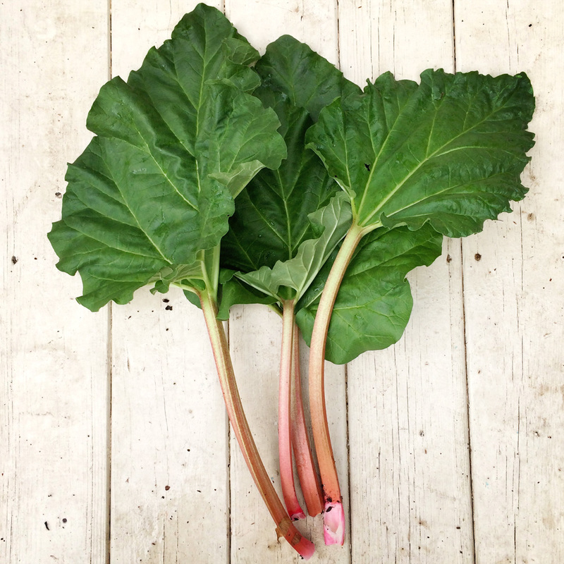 rhubarb season {wholly rooted}