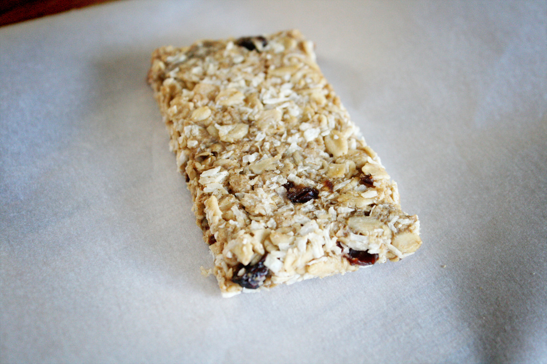 Dehydrator Granola Bars/Granola {Wholly Rooted}
