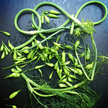 radish pods and garlic scapes {wholly rooted}