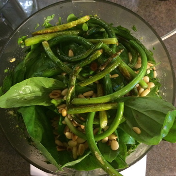 basil & garlic scape pesto making {wholly rooted}